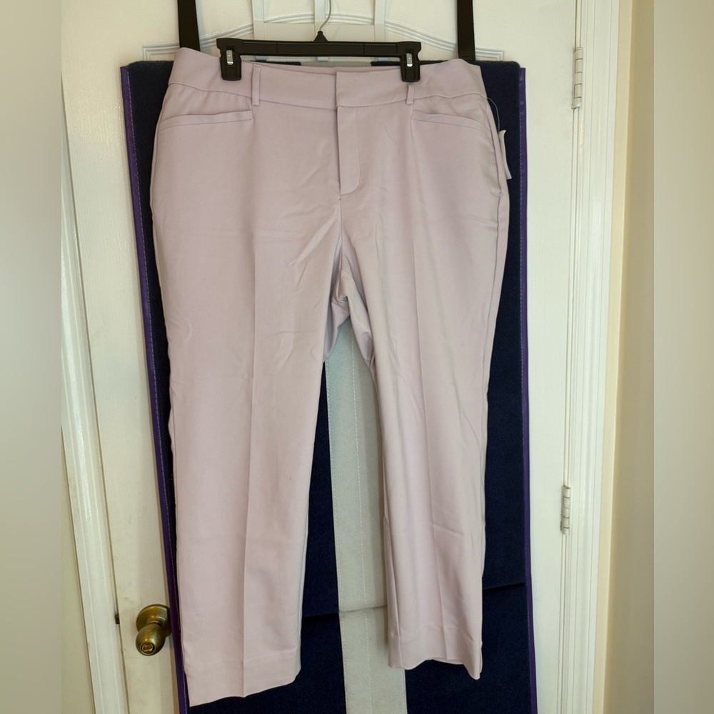 Dressbarn NWT
Purple dress slacks
Size 16W